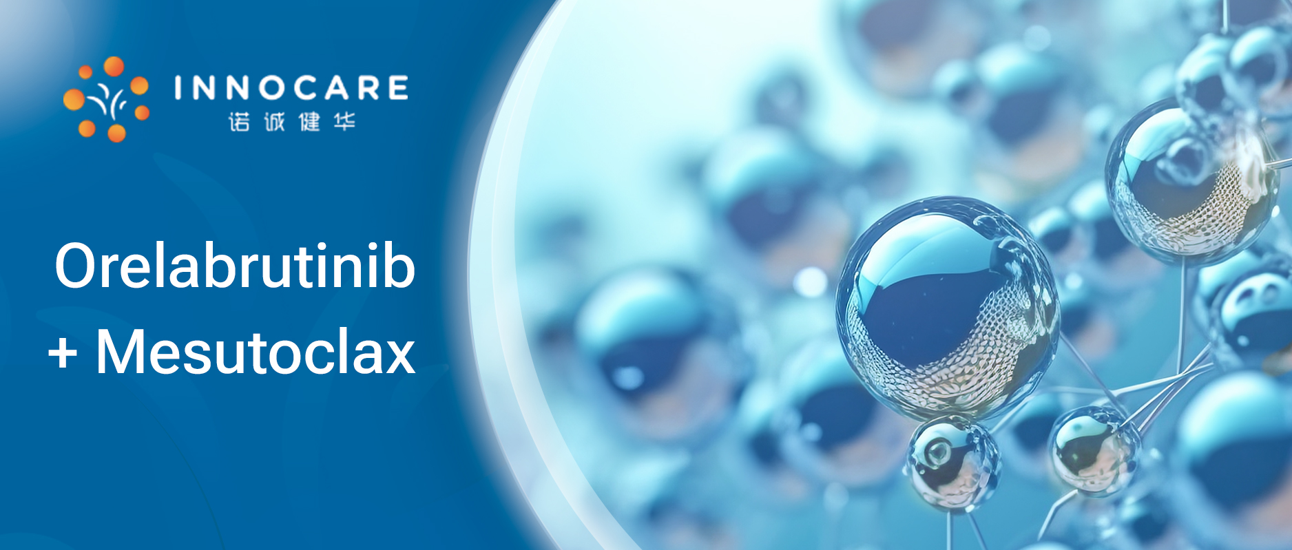 奥布替尼联合mesutoclax-英文.jpg
